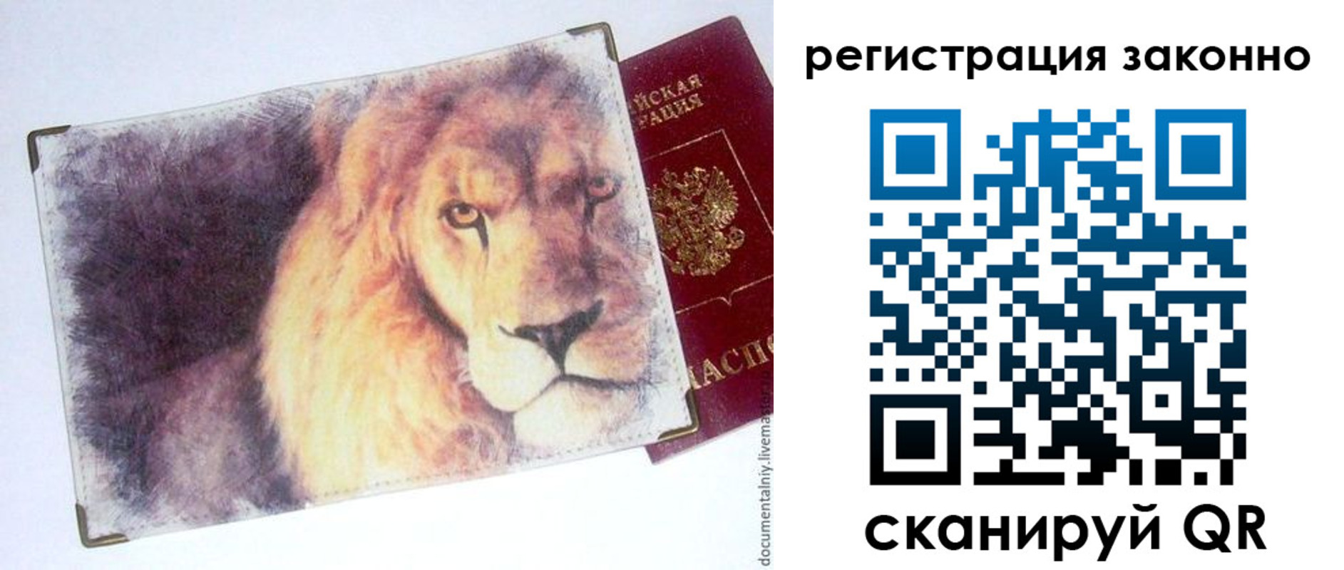 прописка гарантия в Оренбургской области